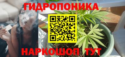 прущие грибы Сафоново